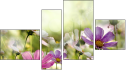 Fortych
