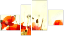Fortych