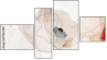 Fortych