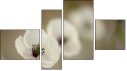 Fortych
