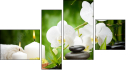 Fortych
