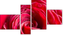 Fortych