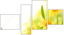 Fortych