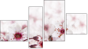 Fortych