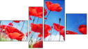 Fortych