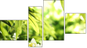 Fortych