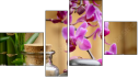 Fortych