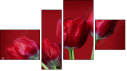 Fortych