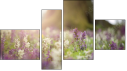 Fortych