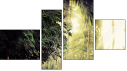 Fortych