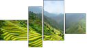 Fortych