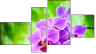 Fortych