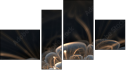 Fortych
