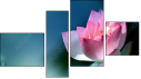 Fortych