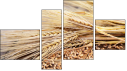 Fortych