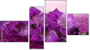 Fortych