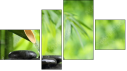Fortych