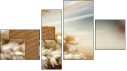 Fortych
