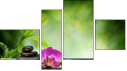 Fortych