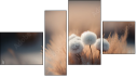 Fortych
