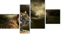 Fortych