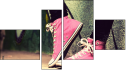 Fortych