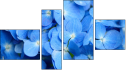 Fortych