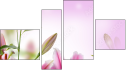 Fortych