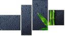 Fortych