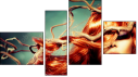 Fortych