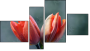 Fortych
