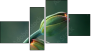 Fortych
