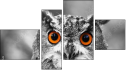 Fortych