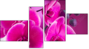 Fortych