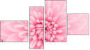 Fortych