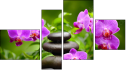 Fortych