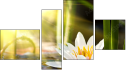 Fortych