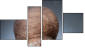 Fortych
