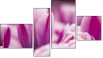 Fortych