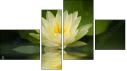 Fortych