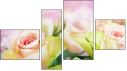 Fortych