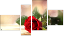 Fortych