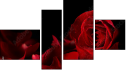Fortych