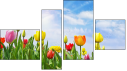 Fortych