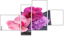 Fortych