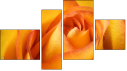 Fortych