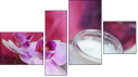 Fortych