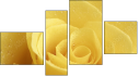 Fortych