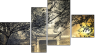 Fortych