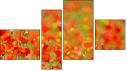 Fortych